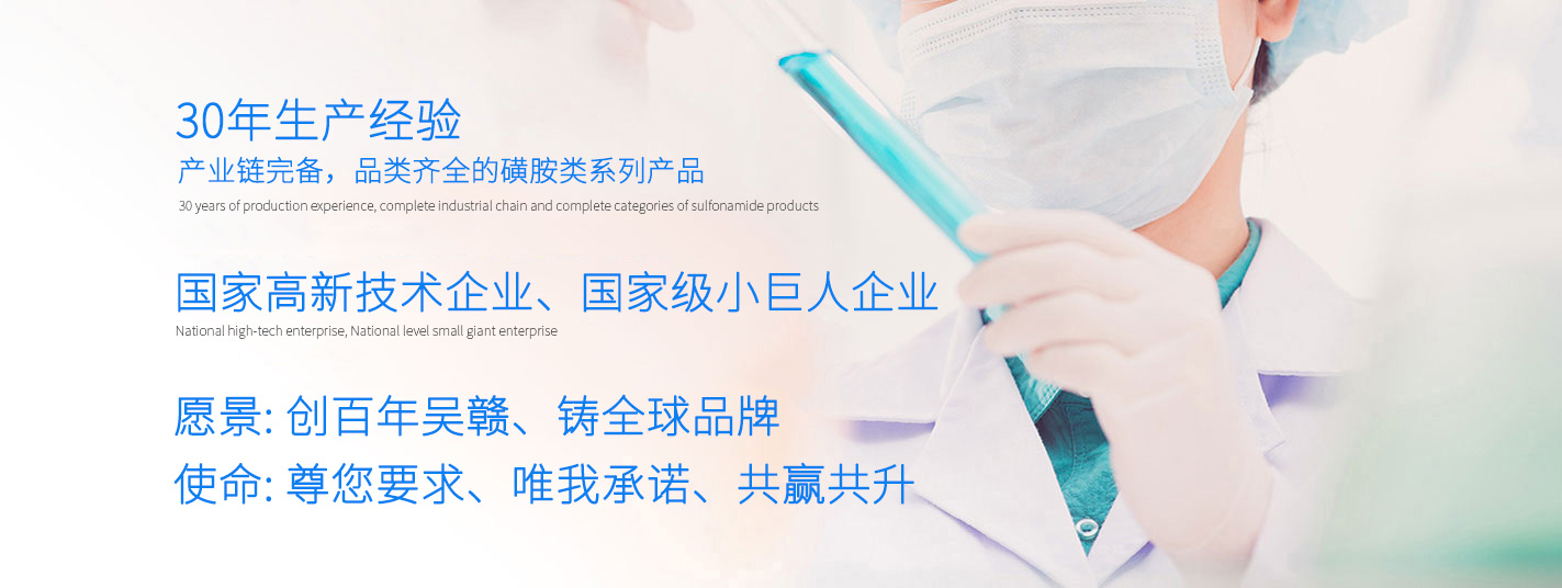 上海浩登材料股份有限公司